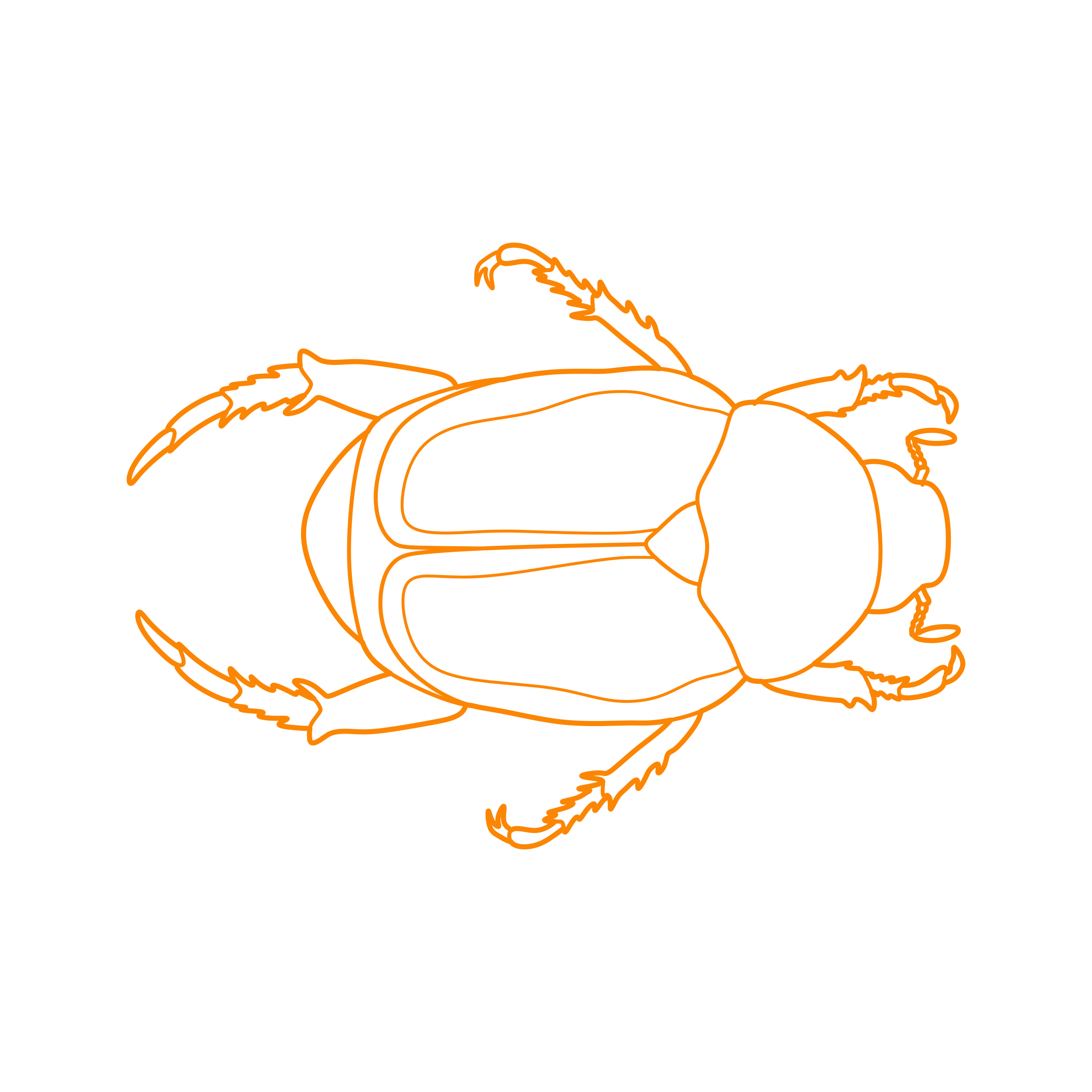Animals Insects Japanese Beetle Outline Svg File Free Vectors